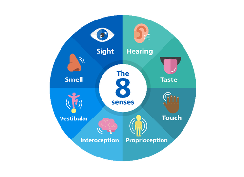 Eight senses of the body