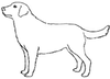 Line drawing of a dog
