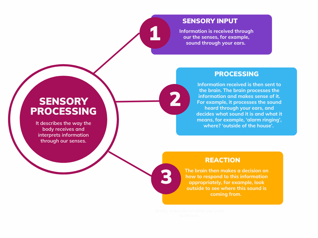 Sensory Processing - Visual