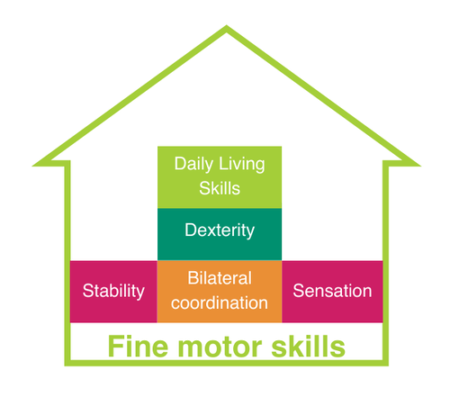 Fine motor skills (1) (cropped)